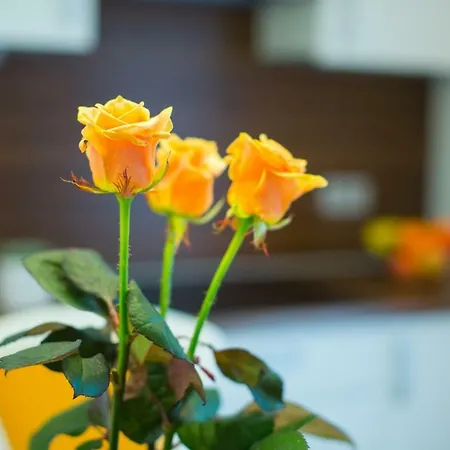 Apartment Miki's *